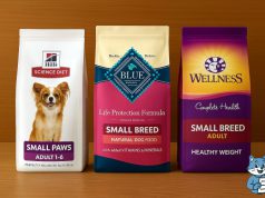 Top 3 Best Dog Foods for Small Dogs in 2025: Nutritious Picks for Your Tiny Pup top 3 best dog foods for small dogs in 2025 hill’s, blue buffalo, wellness
